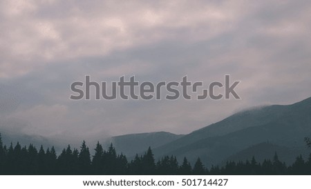 Misty morning mountain view with peaks in mist and forest trees in Slovakia - vintage film look