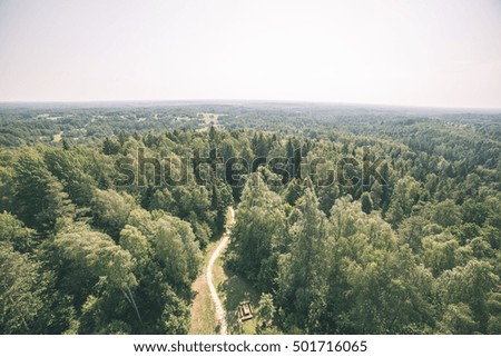 panoramic view of misty green forest. far horizon - vintage effect