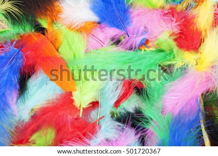 colorful feathers.