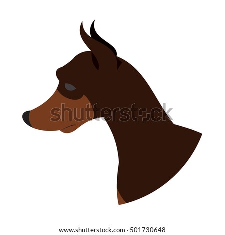 Dog head doberman pinscher