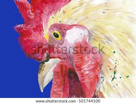 Watercolor Farm Bird Rooster Portrait Hand Painted Illustration isolated on  dark blue background