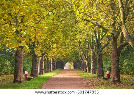 Beautiful romantic alley in a park with colorful trees, autumn landscape                                              