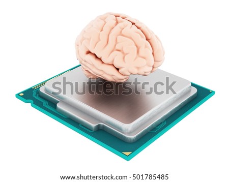 Microprocessor and human brain isolated on white background. 3D illustration