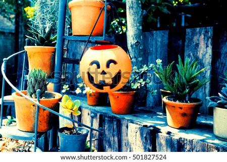 Halloween pumpkin decorations in the garden.