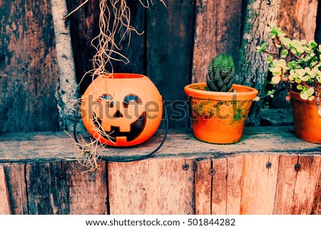 Halloween pumpkin decorate in the garden.