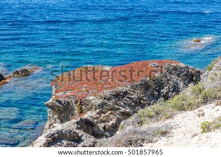 Coastline of Porquerolles Island