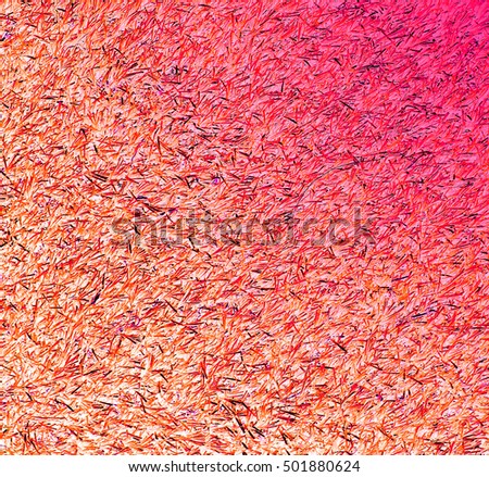 Perspective evening view of autumn abstract natural daylight scene with a lot of yellow and orange maple leaves lying