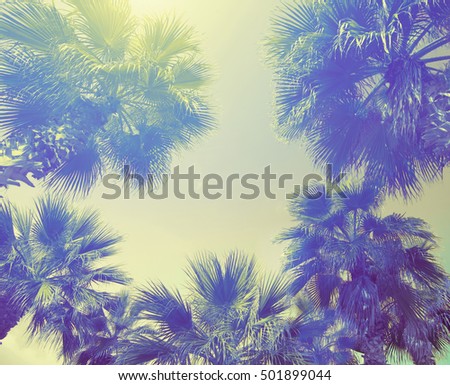 Blue vintage frame with tropic palm trees against sky at sunset light