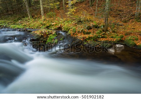 Little stream with a long exposure during Fall in the Bavarian forest, Germany.
