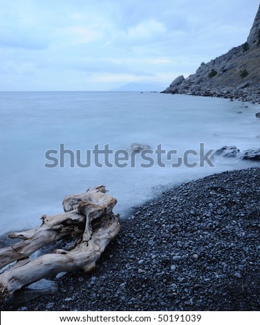 The night sea and timber. The sea photographed at a dawn with long endurance. Crimea, Ukraine