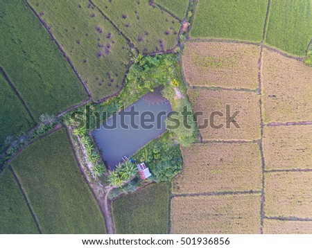 Aerial view of Sufficiency economy and Rice field in Thailand