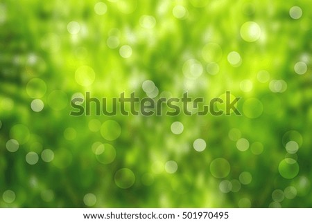 Natural green bokeh blurred background abstract circular