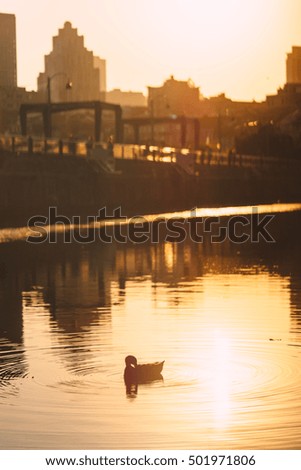 Sunset light on the background of the city, City reflected in the water at sunset, City at sunset, Autumn promenade at sunset, Autumn landscape