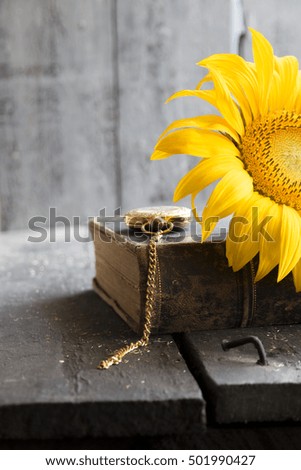 Sunflower - beautiful flower background.