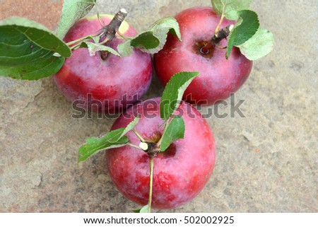 Three red apples on stone background