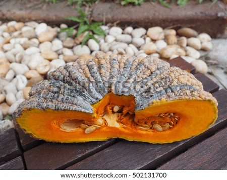 skin of pumpkin with motion blur of white stone background