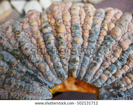 closeup rough skin of pumpkin with motion blur of white stone background