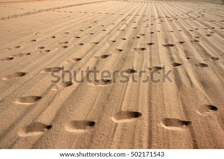 footprints on the checkpoint on the border strip in the desert