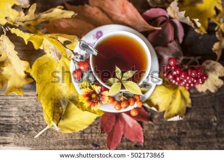 autumn still life with a cup of tea