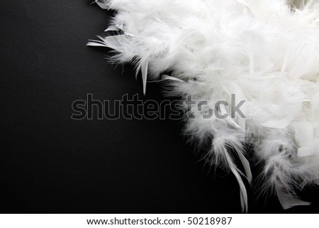  White feather on black background Royalty-Free Stock Photo #50218987