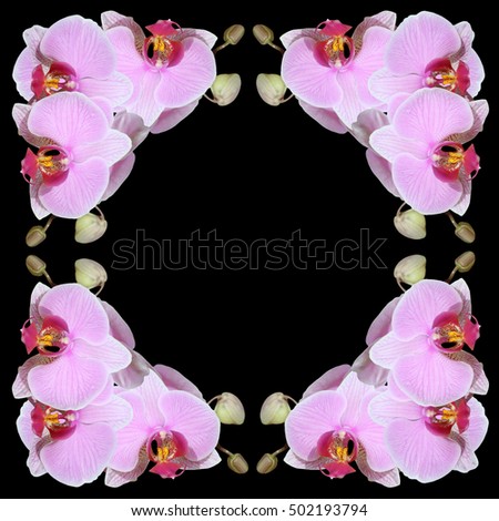Beautiful floral background of purple orchids 