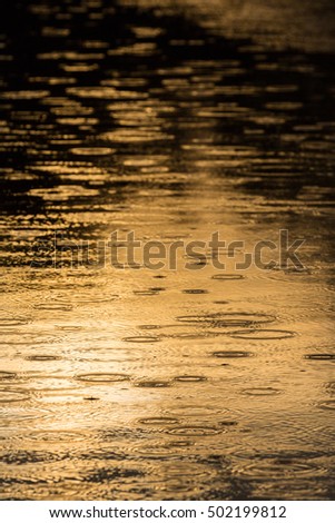 Ripples created by falling rain in a wild river, under warm sunset light