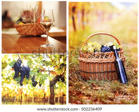 Glass of white wine on bar background. Warm retro toned image