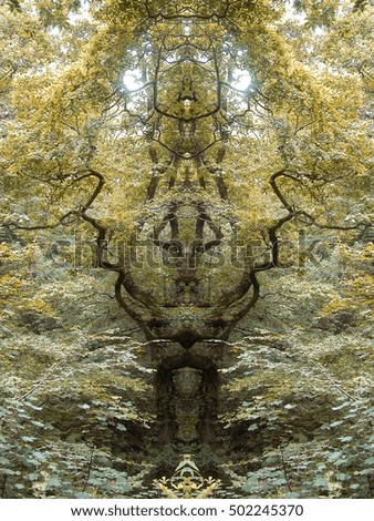 Branches of a tree with foliage in symmetrical form