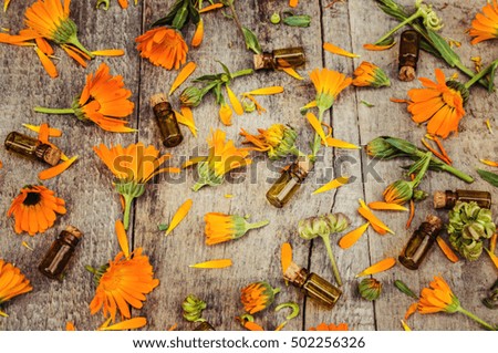 herb calendula officinalis on wooden background (space for text).