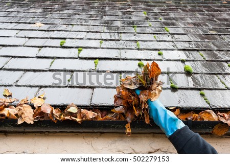 cleaning gutter clogged with leaves Royalty-Free Stock Photo #502279153