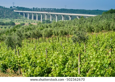 Motorway from Rosignano Solvay to Livorno, Leghorn, Italy, bridge over the Valley