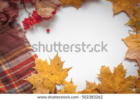 The background for writing text composition in autumn style