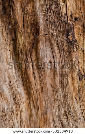 the background of weathered painted wood for design