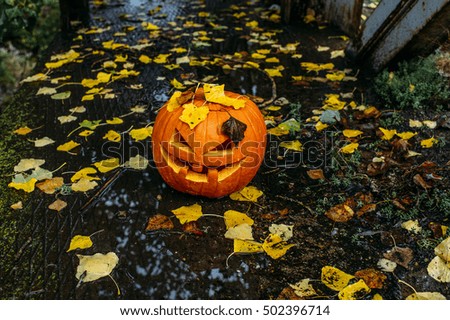 Creepy pumpkin next to a water stream