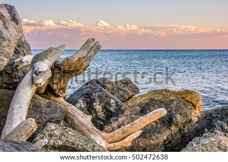 Sunset rocks and wood