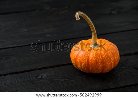 Seasonal orange pumpkin with scattered tree leaves. Pumpkins are often used as decoration for halloween and are also often used as ingredient in thanksgiving recipes.
