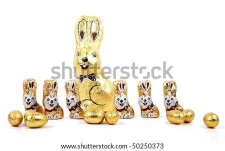 Easter chocolate rabbitt - bunny