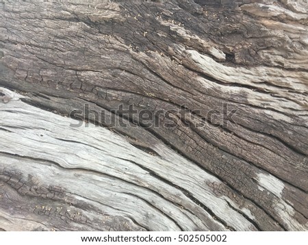 Texture from wood