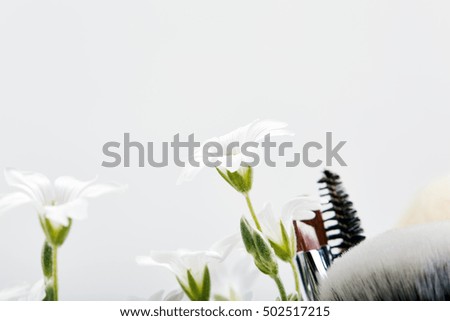 Chickweed. Flowers. Makeup brushes. White background.