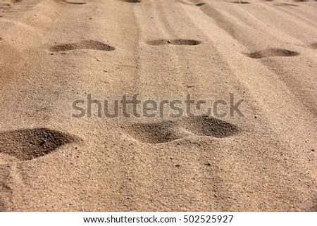 footprints on the checkpoint on the border strip in the desert