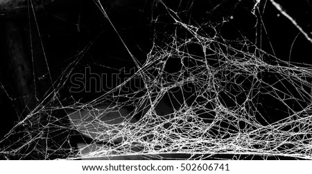 Triangle horror cobweb or spider web isolated on black background,horizontal photo Royalty-Free Stock Photo #502606741