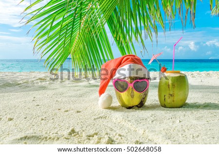Two coconut on the sand. Winter holiday in the Maldives. Christmas