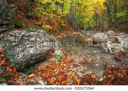 Beautiful autumn landscape with mountain river and colorful trees with green, red, yellow and orange leaves. 