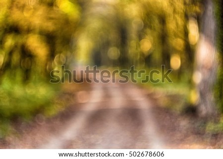 Out of focus forest autumn background
