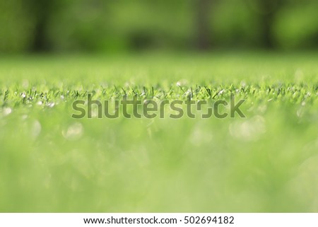 Artificial grass and the sun light as a background