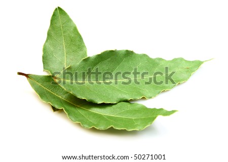 Aromatic Bay leaves ( laurel )  isolated over white background Royalty-Free Stock Photo #50271001