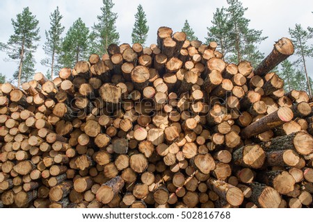 big pile of firewood