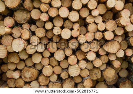 big pile of firewood