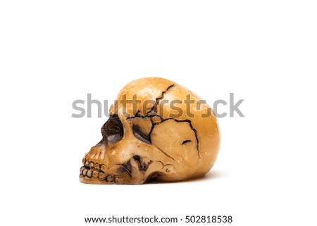 Human wax and plastic skull isolated on white background. Halloween image.
