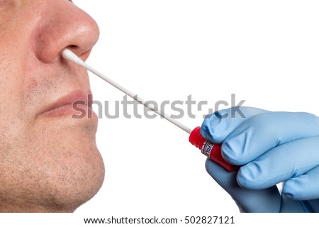 Doctor makes with a cotton swab a nasal swab test Royalty-Free Stock Photo #502827121